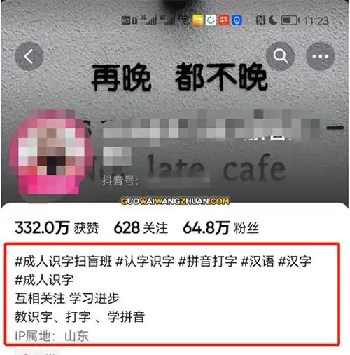 教成人识字，小众项目真的做起来还是很赚钱的-国外网赚博客