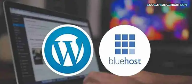 Bluehost 主机评价：最佳WordPress托管服务提供商-国外网赚博客