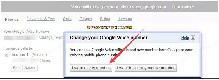 跨境电商必备工具 Google Voice 申请指南-国外网赚博客