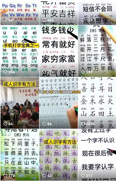 教成人识字，小众项目真的做起来还是很赚钱的-国外网赚博客