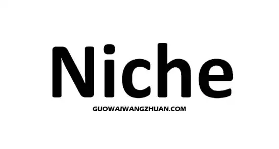 英文网络营销affiliate基础指南：什么是niche利基市场-国外网赚博客