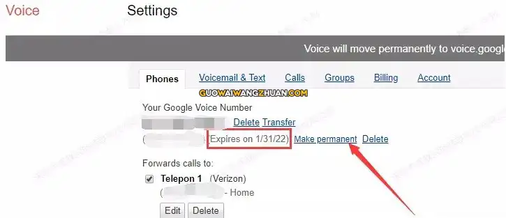 跨境电商必备工具 Google Voice 申请指南-国外网赚博客